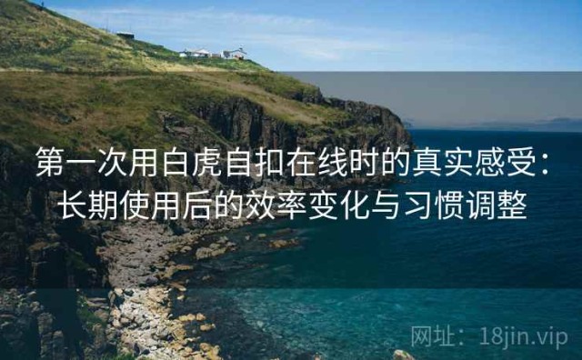 第一次用白虎自扣在线时的真实感受：长期使用后的效率变化与习惯调整