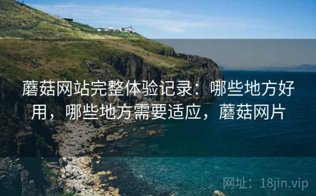 蘑菇网站完整体验记录：哪些地方好用，哪些地方需要适应，蘑菇网片