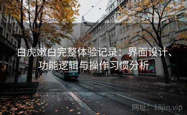 白虎嫩白完整体验记录：界面设计、功能逻辑与操作习惯分析
