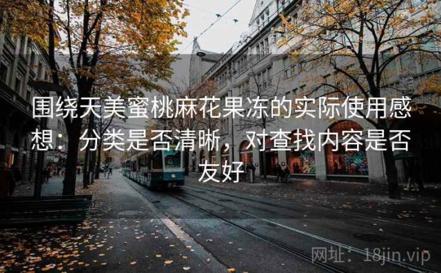 围绕天美蜜桃麻花果冻的实际使用感想：分类是否清晰，对查找内容是否友好