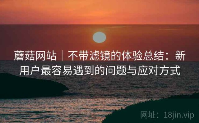 蘑菇网站｜不带滤镜的体验总结：新用户最容易遇到的问题与应对方式