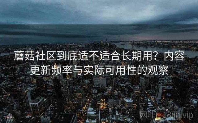 蘑菇社区到底适不适合长期用？内容更新频率与实际可用性的观察