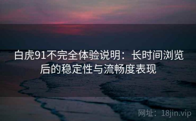 白虎91不完全体验说明：长时间浏览后的稳定性与流畅度表现