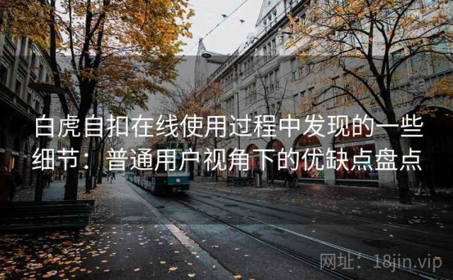 白虎自扣在线使用过程中发现的一些细节：普通用户视角下的优缺点盘点