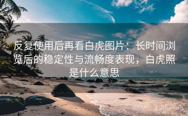 反复使用后再看白虎图片：长时间浏览后的稳定性与流畅度表现，白虎照是什么意思