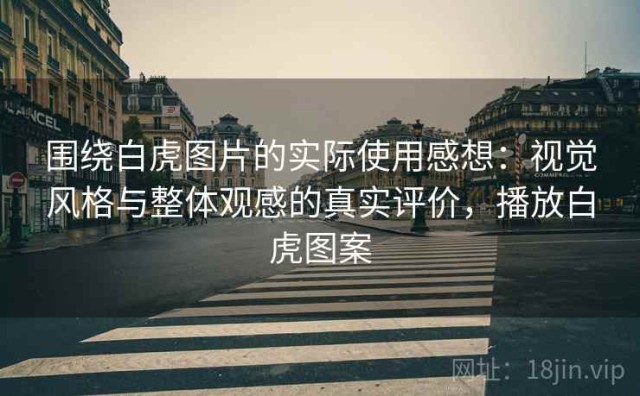 围绕白虎图片的实际使用感想：视觉风格与整体观感的真实评价，播放白虎图案