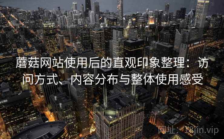 蘑菇网站使用后的直观印象整理：访问方式、内容分布与整体使用感受