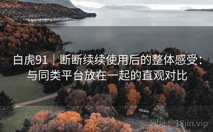 白虎91｜断断续续使用后的整体感受：与同类平台放在一起的直观对比