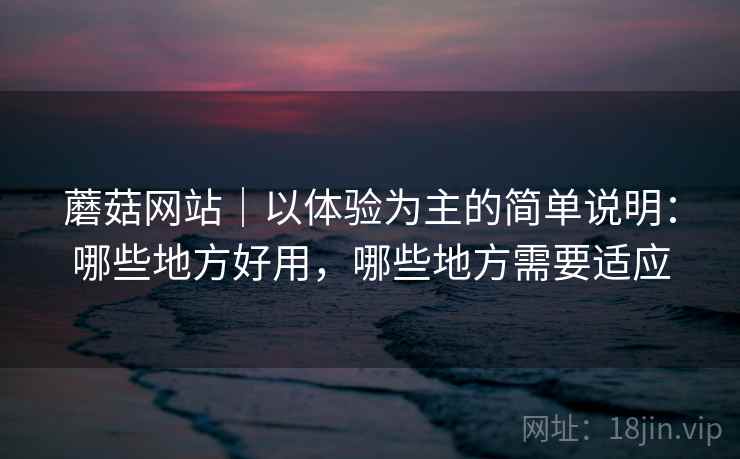 蘑菇网站｜以体验为主的简单说明：哪些地方好用，哪些地方需要适应