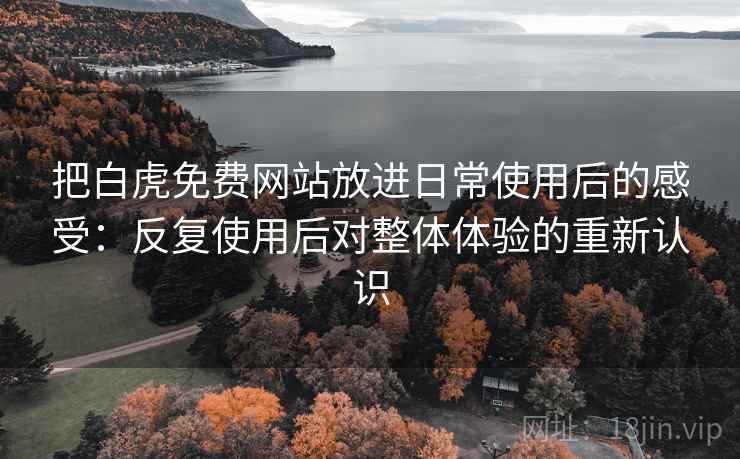 把白虎免费网站放进日常使用后的感受：反复使用后对整体体验的重新认识