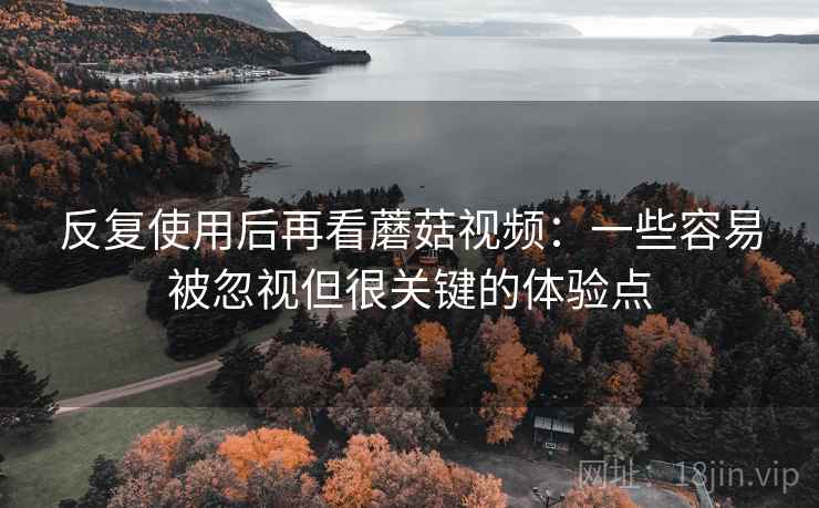 反复使用后再看蘑菇视频：一些容易被忽视但很关键的体验点