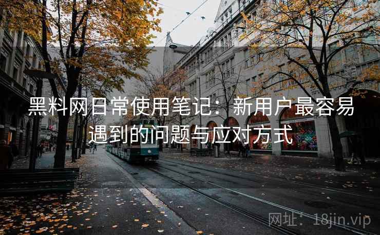 黑料网日常使用笔记：新用户最容易遇到的问题与应对方式