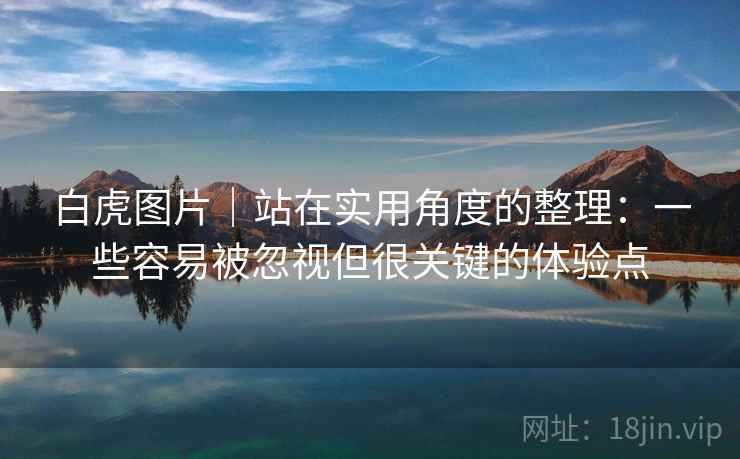 白虎图片｜站在实用角度的整理：一些容易被忽视但很关键的体验点