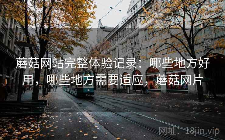 蘑菇网站完整体验记录:哪些地方好用,哪些地方需要适应,蘑菇网片 蘑菇网站完整体验记录:哪些地方好用,哪些地方需要适应,蘑菇网片